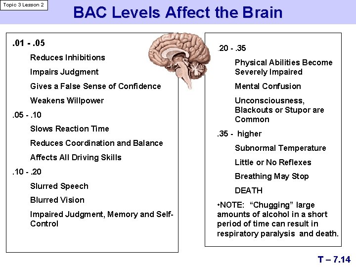Topic 3 Lesson 2 BAC Levels Affect the Brain . 01 -. 05 Reduces