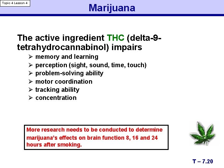 Topic 4 Lesson 4 Marijuana The active ingredient THC (delta-9 tetrahydrocannabinol) impairs Ø Ø