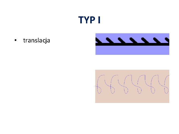 TYP I • translacja 