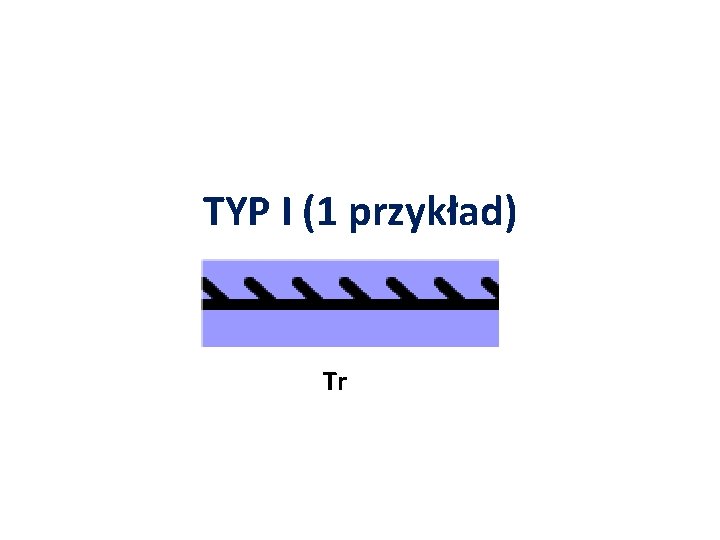 TYP I (1 przykład) Tr 