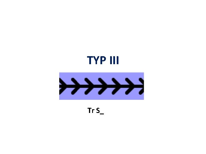 TYP III Tr S_ 