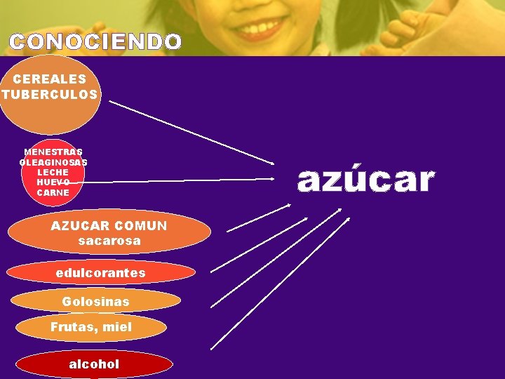 CONOCIENDO CEREALES TUBERCULOS MENESTRAS OLEAGINOSAS LECHE HUEVO CARNE AZUCAR COMUN sacarosa edulcorantes Golosinas Frutas,