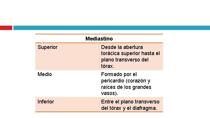 Mediastino Superior Desde la abertura torácica superior hasta el plano transverso del tórax. Medio