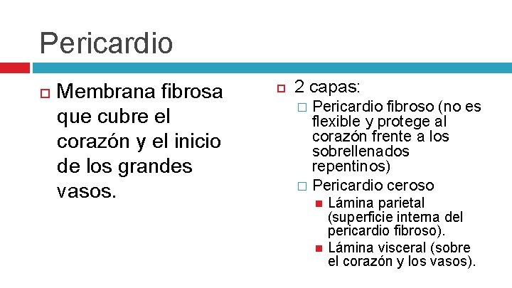 Pericardio Membrana fibrosa que cubre el corazón y el inicio de los grandes vasos.