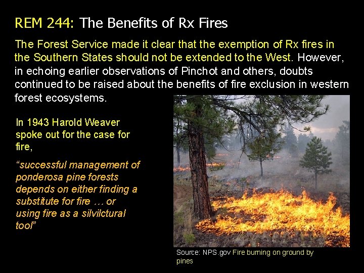 REM 244: The Benefits of Rx Fires The Forest Service made it clear that REM 244: The Benefits of Rx Fires The Forest Service made it clear that