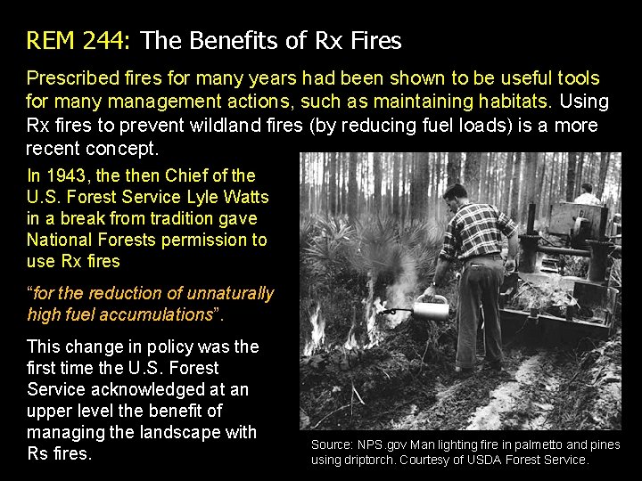 REM 244: The Benefits of Rx Fires Prescribed fires for many years had been REM 244: The Benefits of Rx Fires Prescribed fires for many years had been