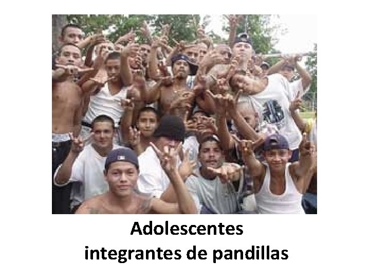 Adolescentes integrantes de pandillas 