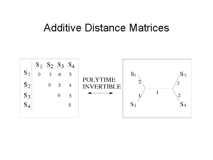 Additive Distance Matrices 