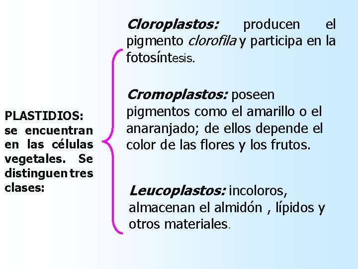 Cloroplastos: producen el pigmento clorofila y participa en la fotosíntesis. Cromoplastos: poseen PLASTIDIOS: se