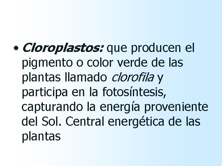  • Cloroplastos: que producen el pigmento o color verde de las plantas llamado