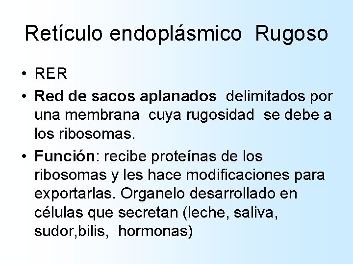 Retículo endoplásmico Rugoso • RER • Red de sacos aplanados delimitados por una membrana