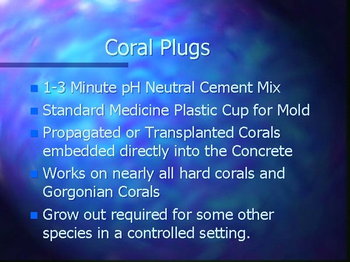 Coral Plugs 1 -3 Minute p. H Neutral Cement Mix n Standard Medicine Plastic