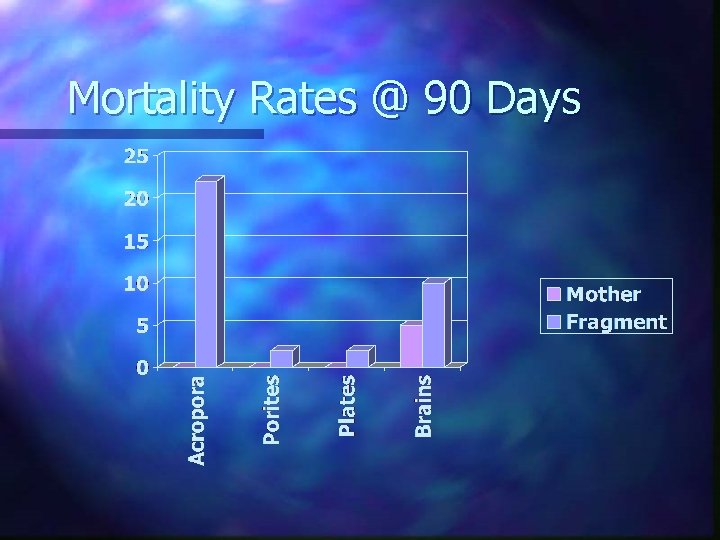 Mortality Rates @ 90 Days 