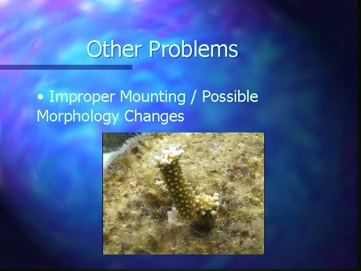 Other Problems • Improper Mounting / Possible Morphology Changes 