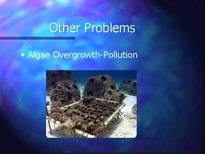 Other Problems • Algae Overgrowth-Pollution 