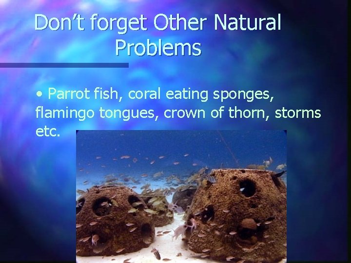 Don’t forget Other Natural Problems • Parrot fish, coral eating sponges, flamingo tongues, crown