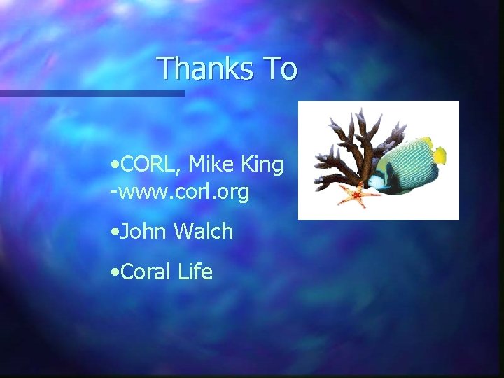 Thanks To • CORL, Mike King -www. corl. org • John Walch • Coral