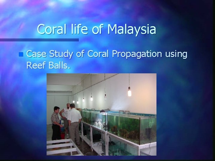 Coral life of Malaysia n Case Study of Coral Propagation using Reef Balls. 