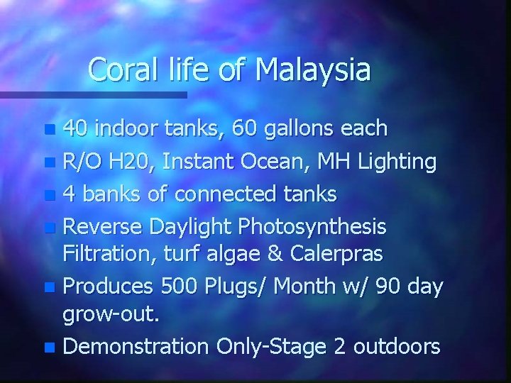 Coral life of Malaysia 40 indoor tanks, 60 gallons each n R/O H 20,