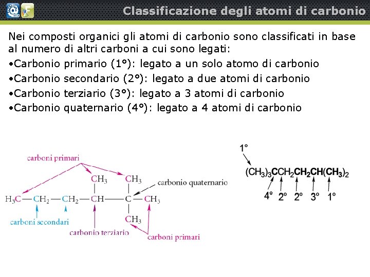 Classificazione degli atomi di carbonio Nei composti organici gli atomi di carbonio sono classificati