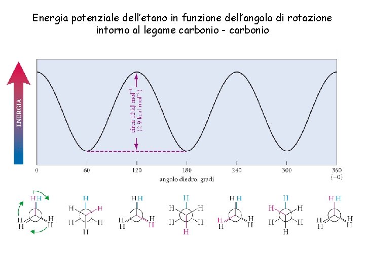 Energia potenziale dell’etano in funzione dell’angolo di rotazione intorno al legame carbonio - carbonio