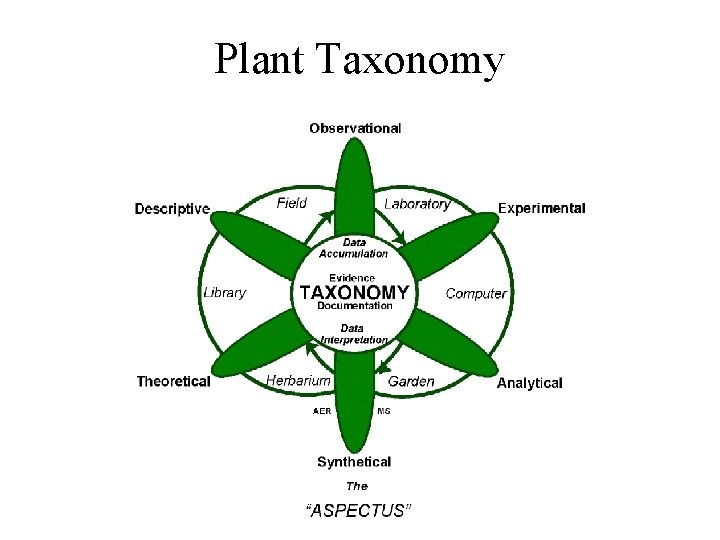 Plant Taxonomy 