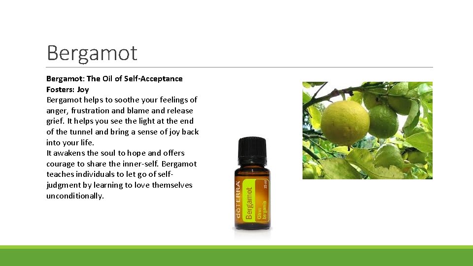 Bergamot: The Oil of Self-Acceptance Fosters: Joy Bergamot helps to soothe your feelings of