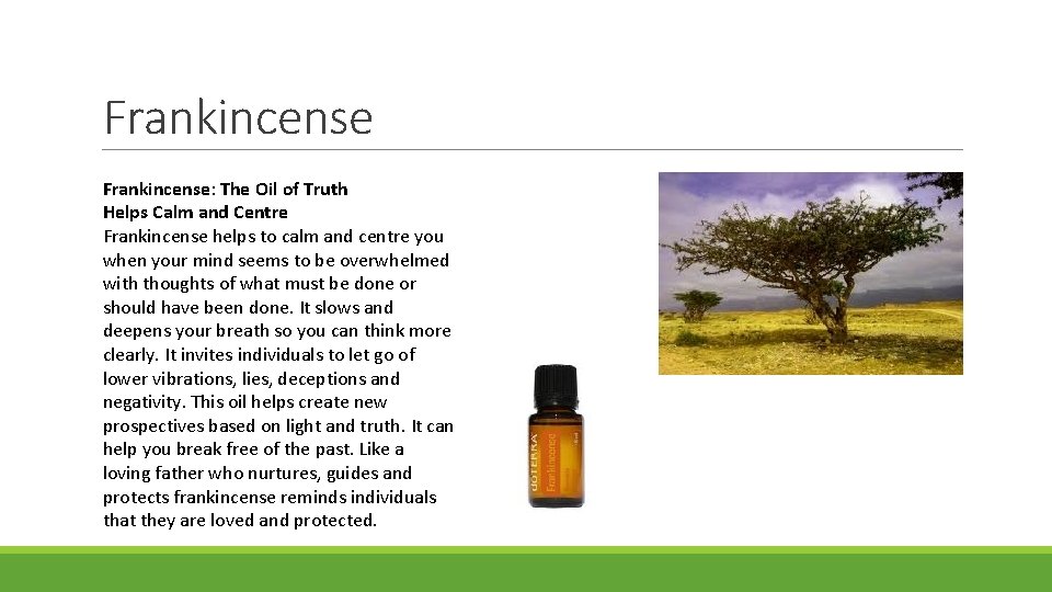 Frankincense: The Oil of Truth Helps Calm and Centre Frankincense helps to calm and