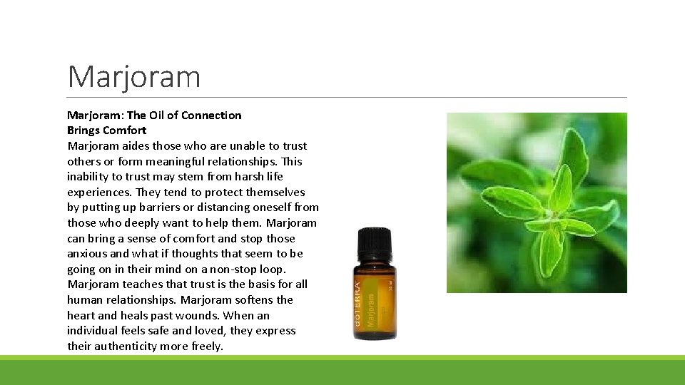Marjoram: The Oil of Connection Brings Comfort Marjoram aides those who are unable to