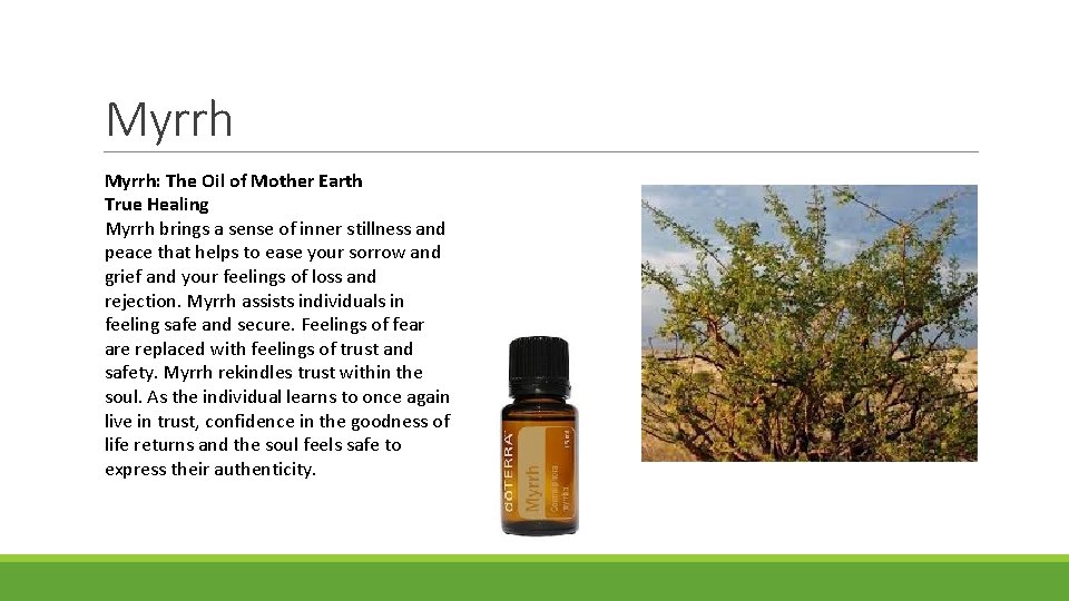 Myrrh: The Oil of Mother Earth True Healing Myrrh brings a sense of inner