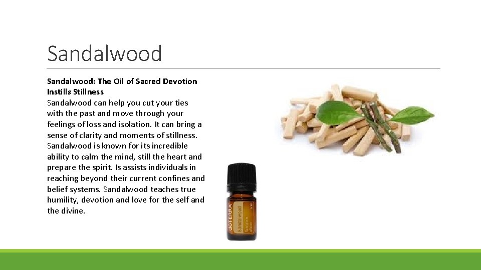 Sandalwood: The Oil of Sacred Devotion Instills Stillness Sandalwood can help you cut your