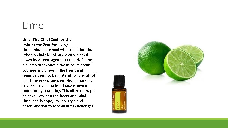 Lime: The Oil of Zest for Life Imbues the Zest for Living Lime imbues