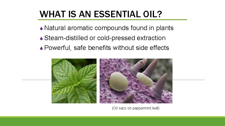 WHAT IS AN ESSENTIAL OIL? S Natural aromatic compounds found in plants S Steam-distilled