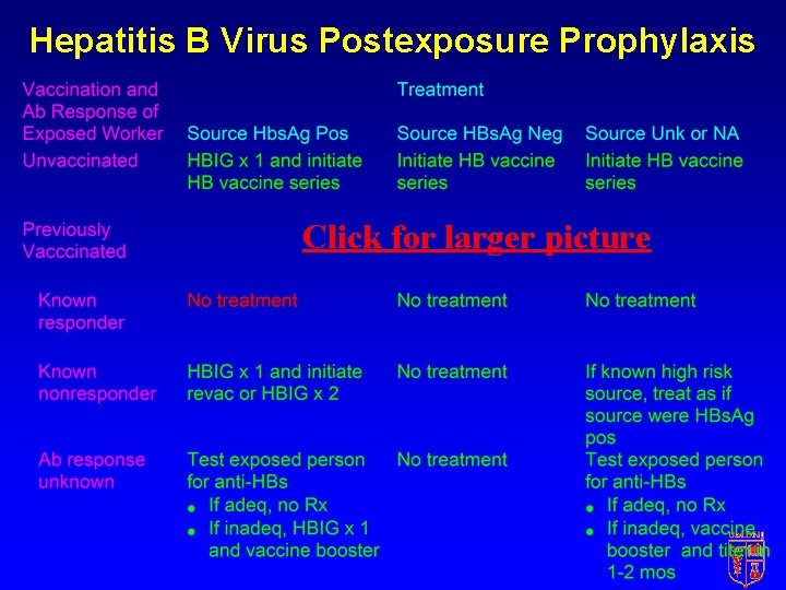 Hepatitis B Virus Postexposure Prophylaxis Click for larger picture 