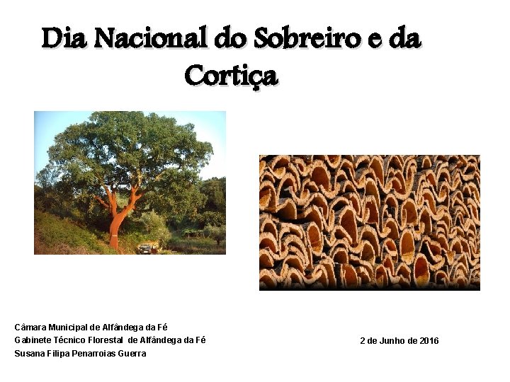 Dia Nacional do Sobreiro e da Cortiça Câmara Municipal de Alfândega da Fé Gabinete