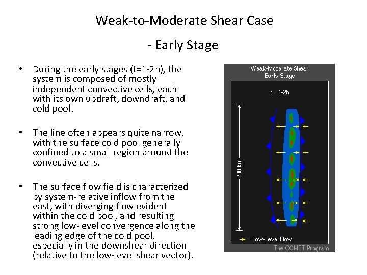 Weak-to-Moderate Shear Case - Early Stage • During the early stages (t=1 -2 h),