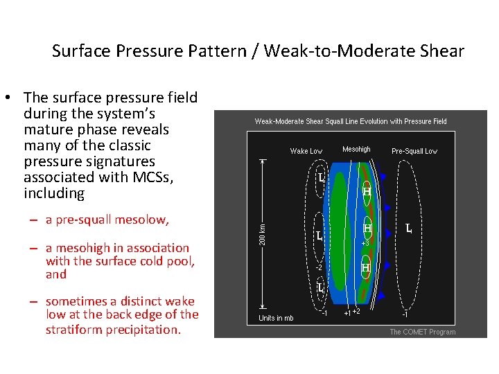 Surface Pressure Pattern / Weak-to-Moderate Shear • The surface pressure field during the system’s