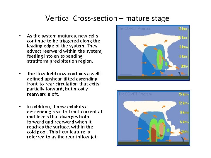 Vertical Cross-section – mature stage • As the system matures, new cells continue to
