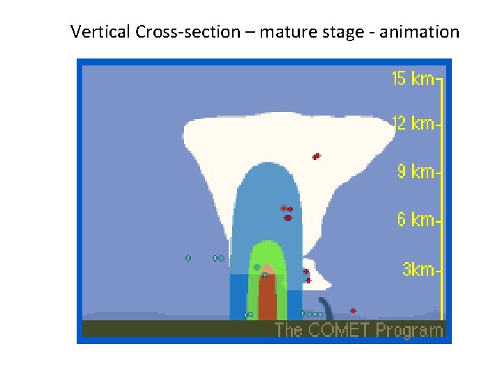 Vertical Cross-section – mature stage - animation 