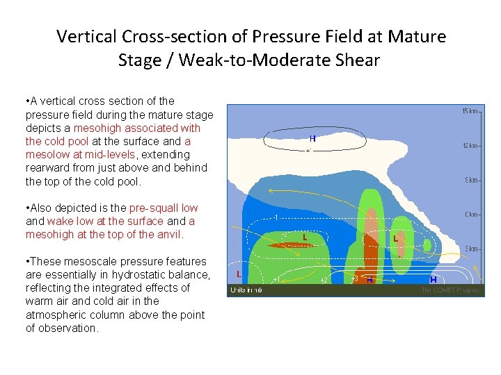 Vertical Cross-section of Pressure Field at Mature Stage / Weak-to-Moderate Shear • A vertical