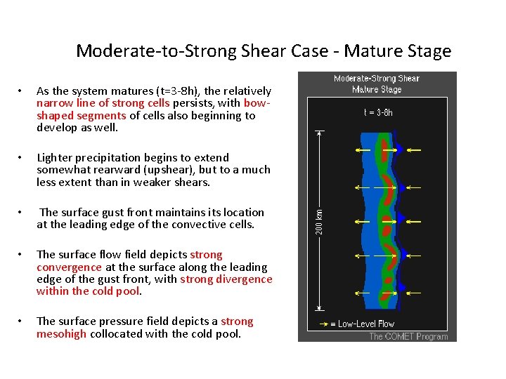 Moderate-to-Strong Shear Case - Mature Stage • As the system matures (t=3 -8 h),