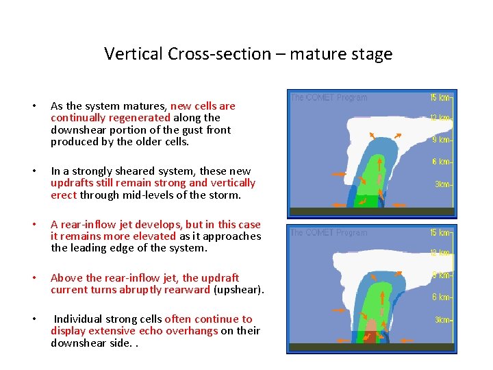 Vertical Cross-section – mature stage • As the system matures, new cells are continually