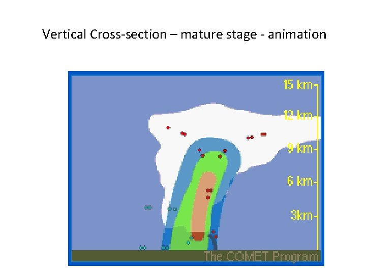 Vertical Cross-section – mature stage - animation 