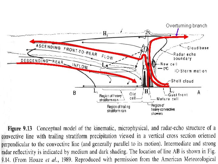 Conceptual Model Squall Lines with Trailing Stratiform Precipitation (Houze 1989) Overturning branch 