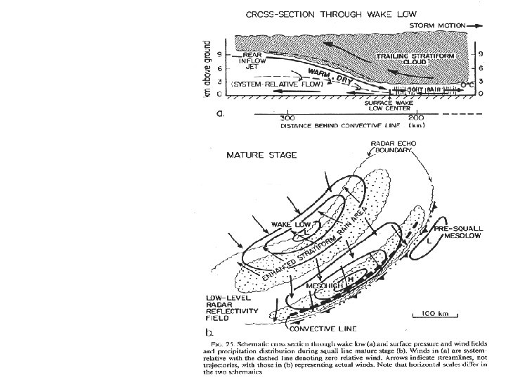 Vertical cross section and surface pressure, wind and precipitation distributions during the mature stage