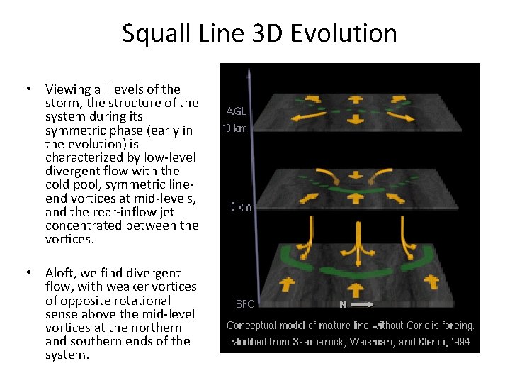 Squall Line 3 D Evolution • Viewing all levels of the storm, the structure