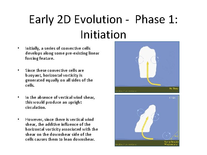 Early 2 D Evolution - Phase 1: Initiation • Initially, a series of convective