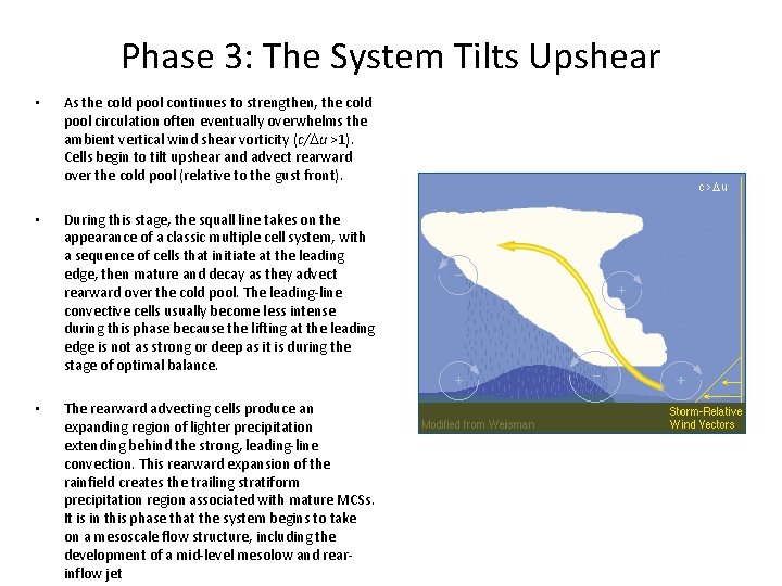 Phase 3: The System Tilts Upshear • As the cold pool continues to strengthen,