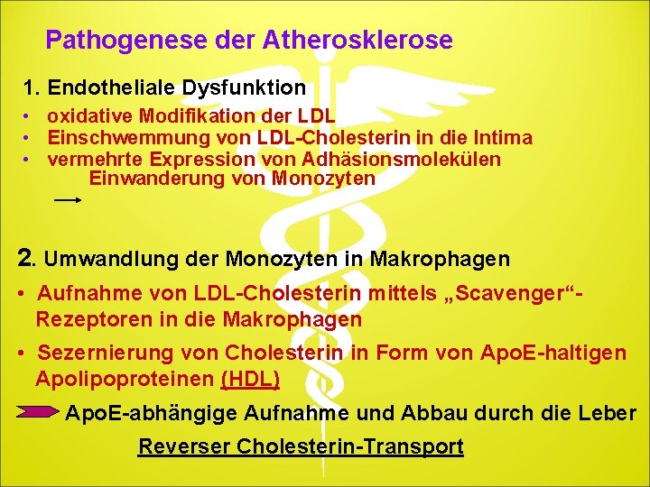 Pathogenese der Atherosklerose 1. Endotheliale Dysfunktion • oxidative Modifikation der LDL • Einschwemmung von