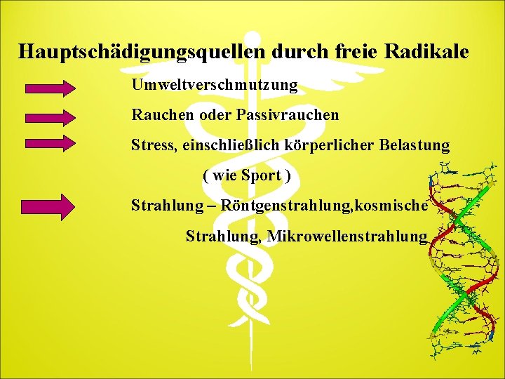 Hauptschädigungsquellen durch freie Radikale Umweltverschmutzung Rauchen oder Passivrauchen Stress, einschließlich körperlicher Belastung ( wie